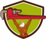 Bald Eagle Plumber Monkey Wrench Shield Cartoon Stock Photo