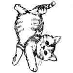 Little Cat Hand Drawn Stock Photo