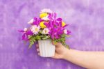 Hand Holding Bouquet Of Chrysanthemum And Orchid Flowers Isolate Stock Photo