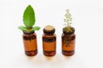 Holy Basil Essential Oil In A Glass Bottle With Fresh Holy Basil Stock Photo