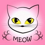 Cat Meow Means Feline Noise And Sound Stock Photo