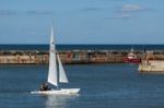 Great White Catamaran Sailing In Staithes Harbour Stock Photo