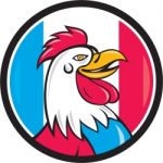 French Rooster Head France Flag Circle Cartoon Stock Photo