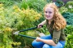 Young Dutch Woman Pruning Tree In Garden Stock Photo
