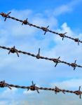 Barbed Wires Against Blue Sky Stock Photo