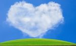 Dry Tree On Green Grass Field With Heart Shape Of White Cloud Stock Photo