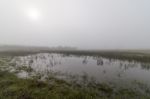Vast Land With Rain Ponds Stock Photo