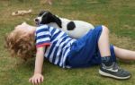 Boy Playing With Spaniel Puppy Stock Photo
