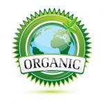 Organic Globe Stock Photo