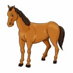 Illustration Of Horse -  Illustration Stock Photo