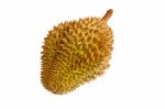 Single Whole Durian Isolated On White Background Stock Photo