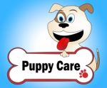 Puppy Care Represents Looking After And Doggie Stock Photo