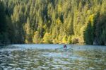 Red Lake, Eastern Carpathians/romania - September 19 : Rowing Bo Stock Photo
