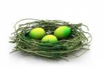 Egg And Nest Stock Photo