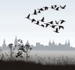 Migrating Wild Geese Of The Country Stock Photo