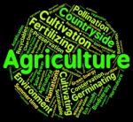 Agriculture Word Representing Farms Farm And Cultivates Stock Photo