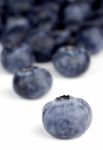 Blueberry Close-up Stock Photo