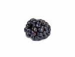 Single Fresh Blackberry Isolated On White Stock Photo