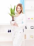 Woman Holding Plant In Pot At Home Stock Photo