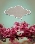 Cloud Paper Above Pink Flower Stock Photo