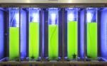 Photobioreactor In Lab Algae Fuel Bio-fuel Stock Photo