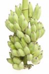 Green Banana Fruit Stock Photo