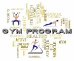 Gym Program Represents Fitness Center And Athletic Stock Photo