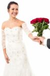 Groom Presenting Beautiful Bride Love Roses Stock Photo
