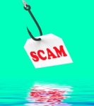 Scam On Hook Displays Schemes Or Deceits Stock Photo