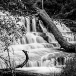 Liffey Falls In The Midlands Region, Tasmania Stock Photo