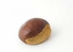 Chestnut  Stock Photo