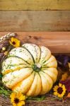 Harvested Pumpkin In A Box With Fall Leaves, Hay And Flowers Stock Photo