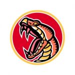 Copperhead Snake Mascot Stock Photo