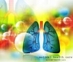 Human Lungs Pulmonary System Stock Photo