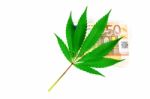 Green Hemp Leaf On Euro Money Stock Photo