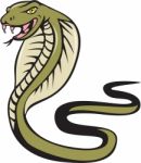 Cobra Viper Snake Attacking Cartoon Stock Photo