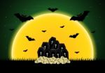 Halloween Coffin Skull Bat  Stock Photo