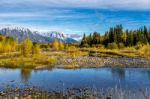 Autumnal Colours In The Grand Teton National Park Stock Photo