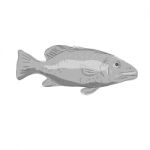 Schoolmaster Snapper Fish Drawing Stock Photo