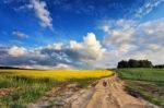 Country Road In Spring Colza Fields Stock Photo