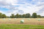 Dutch Fall Landscape With Plasticized Hay Bales Stock Photo