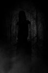 Ghost Woman In The Wood,horror Concept Background Stock Photo