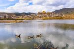 Beautiful Tibetan Buddhist Monastery (songzanlin Temple) With Du Stock Photo