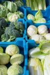 Assortment Of Green With White Cabbages As Vegetables Stock Photo