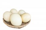 Ostrich Eggs Stock Photo