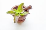 Holy Basil  In Wooden Mortar On White Background Stock Photo