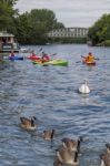 Windsor, Maidenhead & Windsor/uk - July 22 : People Kayaking Dow Stock Photo