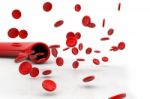 Blood Vein With Red Blood Cells Stock Photo