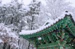 Landscape In Winter With Roof Of Gyeongbokgung And Falling Snow In Seoul,south Korea Stock Photo