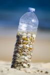 Bottle With Donax Clams Stock Photo